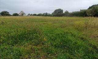 Photo N° 3