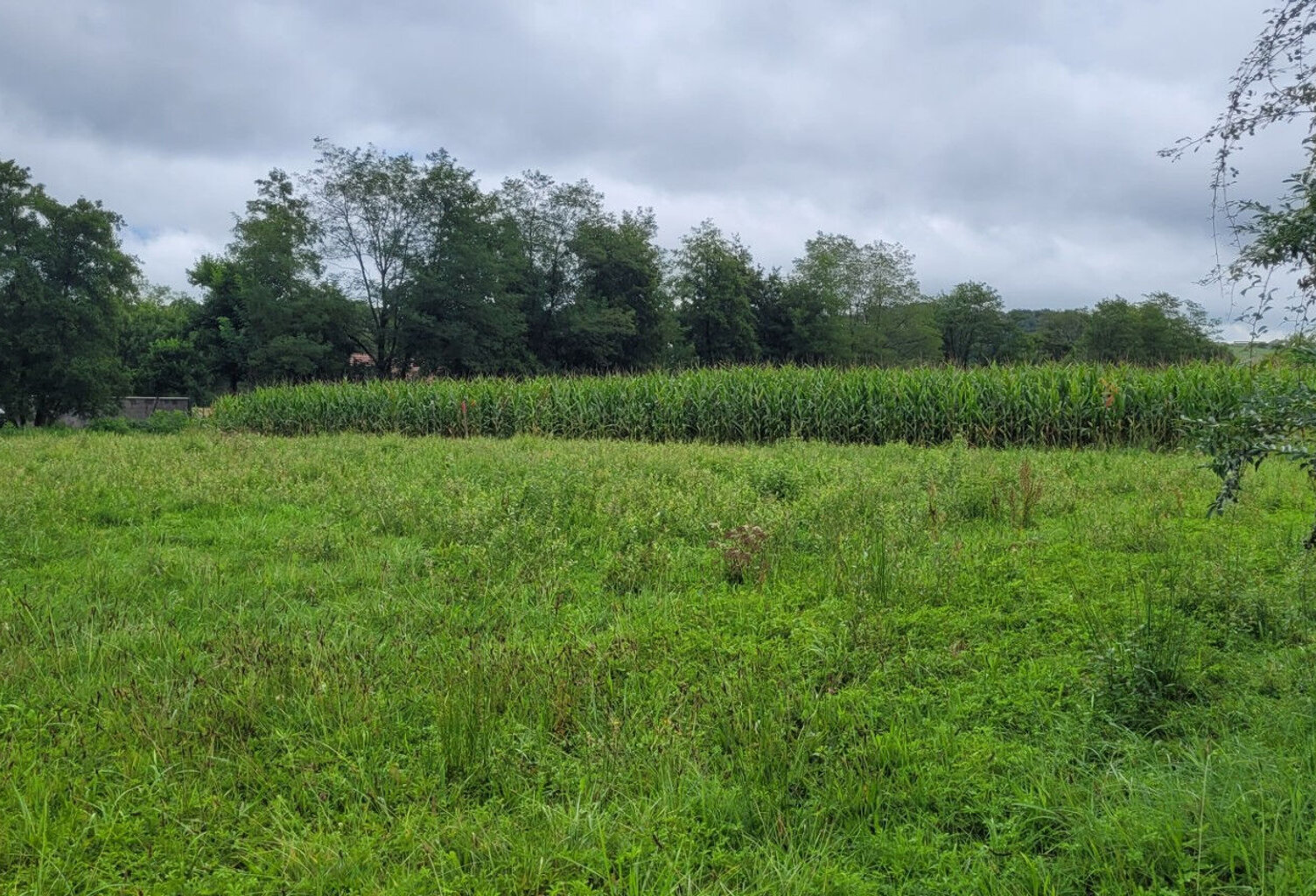 Terrain Serres Sainte Marie 1229 m2 — photo 1