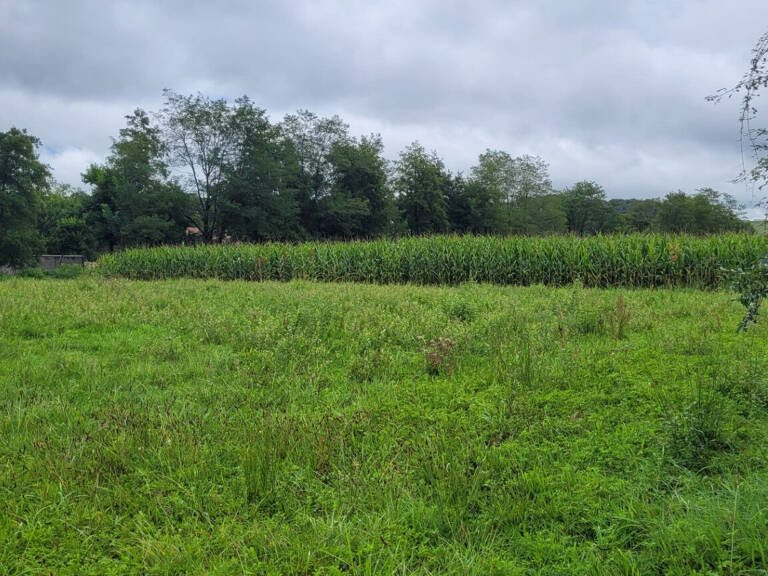 Terrain Serres Sainte Marie 1229 m2 — photo 1