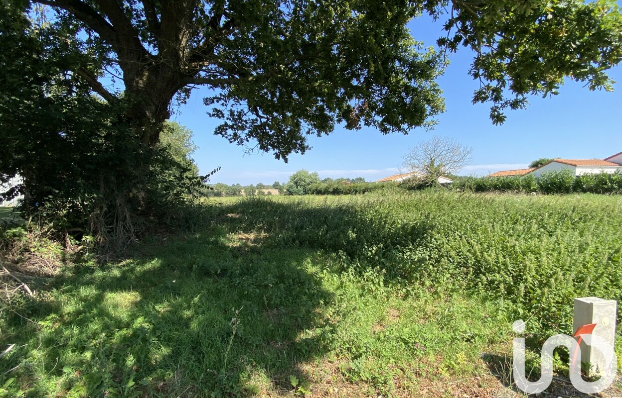 terrain  pièces 1245 m2 à vendre à Les Herbiers (85500)