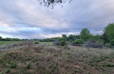 terrain  pièces 1670 m2 à vendre à Pouzols-Minervois (11120)