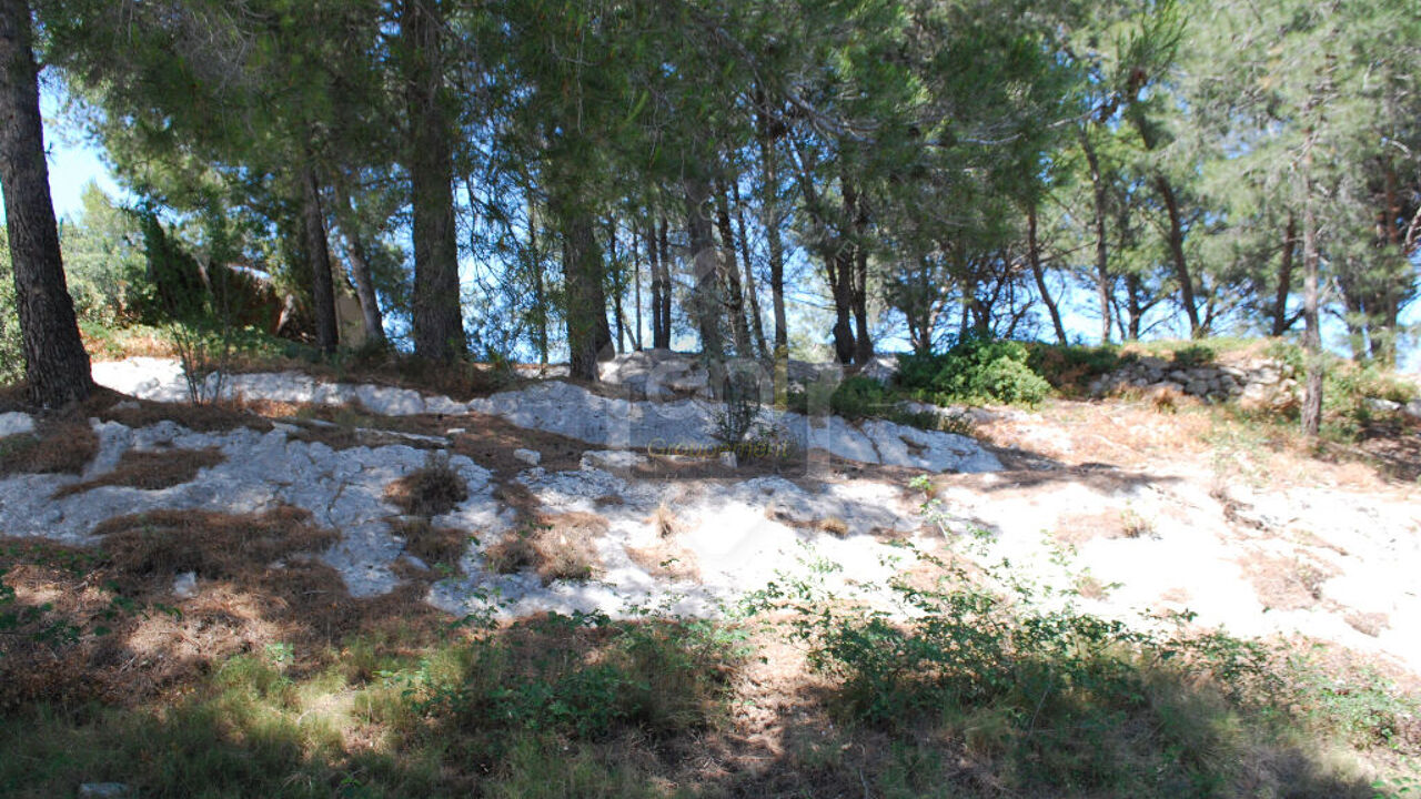 terrain  pièces 1500 m2 à vendre à Maussane-les-Alpilles (13520)