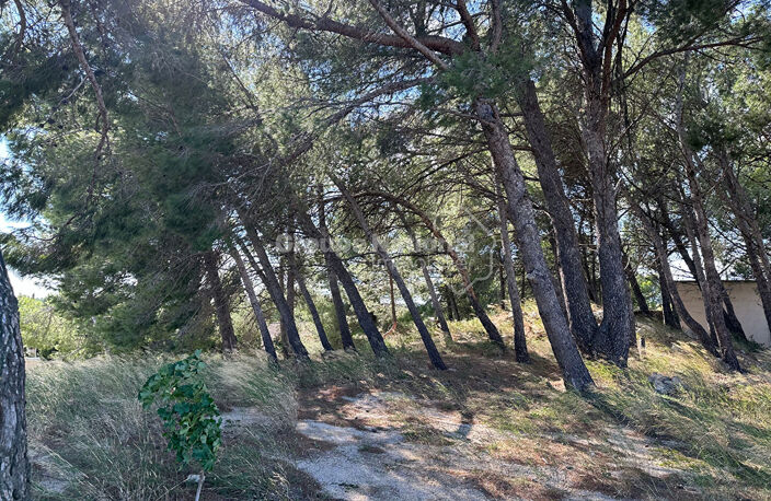 A vendre Maussane Les Alpilles terrain constructible — photo 2
