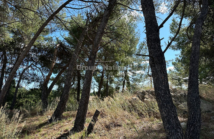 A vendre Maussane Les Alpilles terrain constructible — photo 3