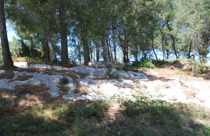 A vendre Maussane Les Alpilles terrain constructible — photo 4