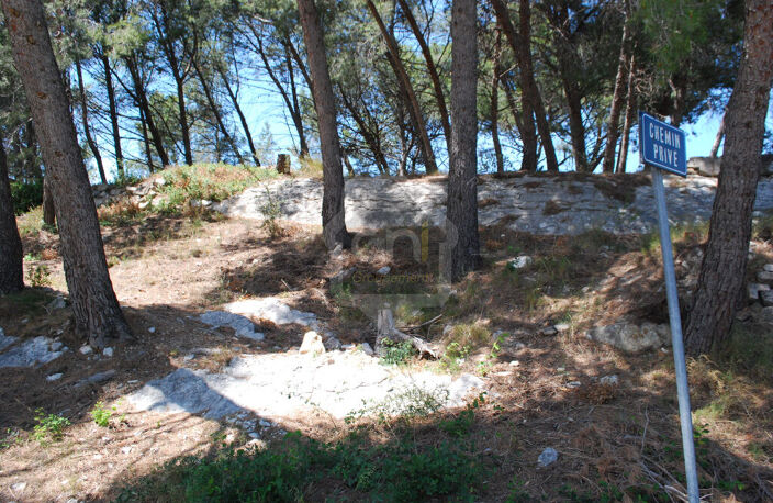 A vendre Maussane Les Alpilles terrain constructible — photo 5