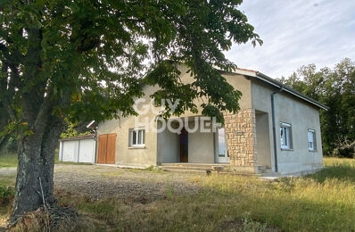 vente maison 240 000 € à proximité de Buzet-sur-Tarn (31660)