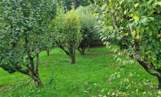 Photo N° 3