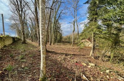 vente terrain 150 000 € à proximité de Saint-Sauveur (21270)