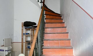 Photo N° 6