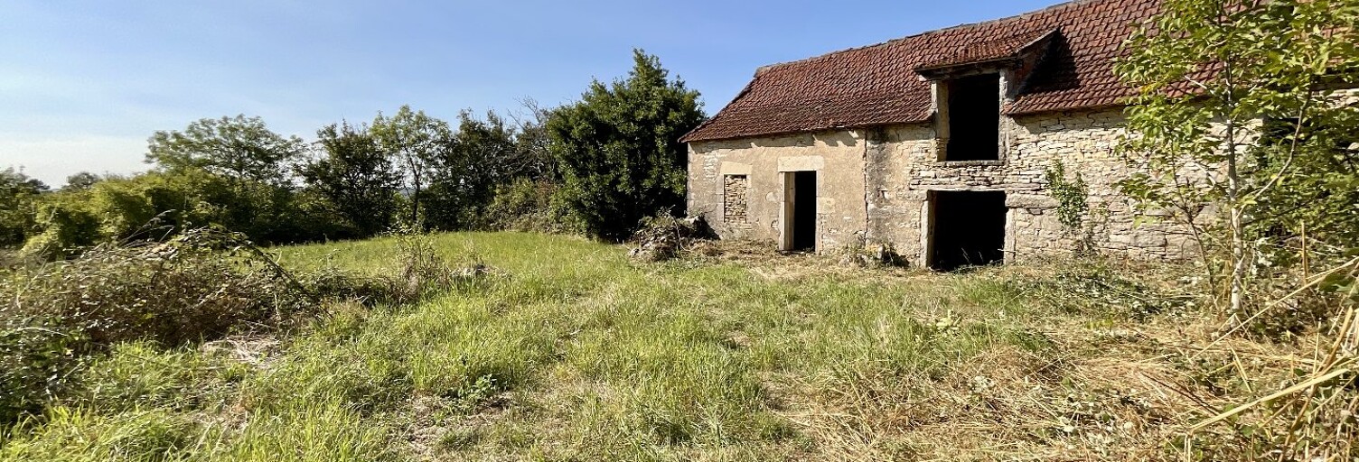 Maison 2 Pièces 45 m² à vendre à Saint-Jean-de-Laur (46260)