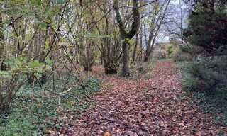 Terrain  3100 m² à vendre à Boissy-le-Châtel (77169)