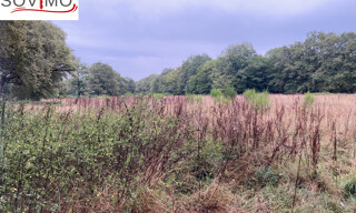 Photo N° 6
