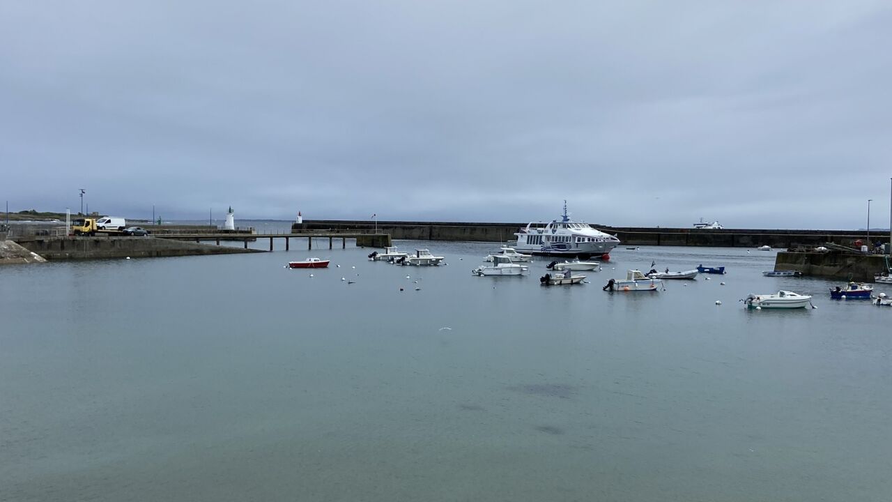 appartement 1 pièces 24 m2 à vendre à Quiberon (56170)