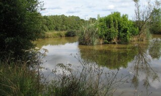 Photo N° 4