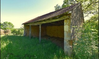 Photo N° 6