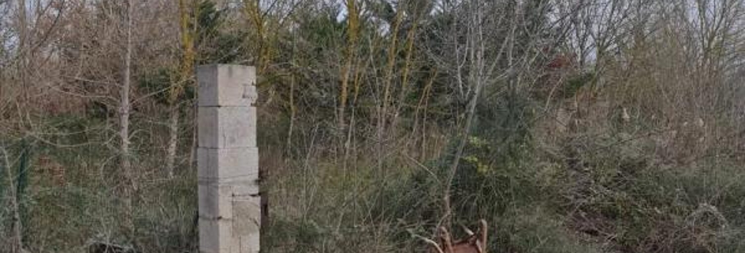 Maison  1065 m² à vendre à Narbonne (11100)