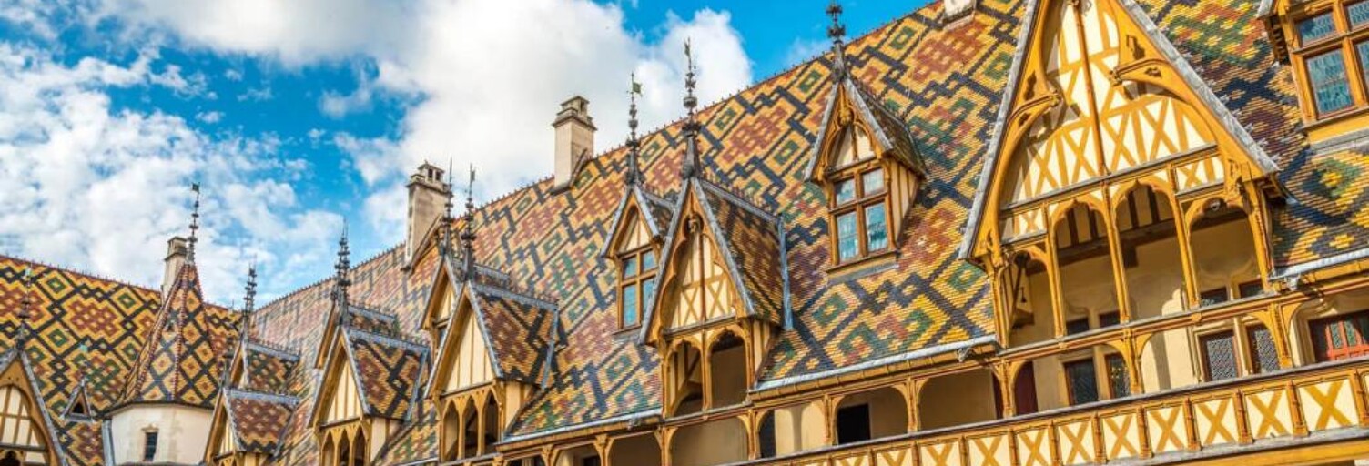 Appartement 74 m² en viager Beaune (21200)