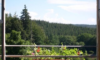 Photo N° 4