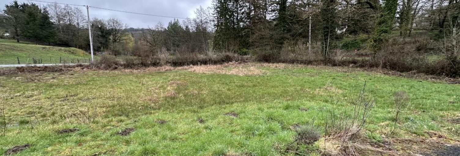 Terrain  952 m² à vendre à Montrozier (12630)
