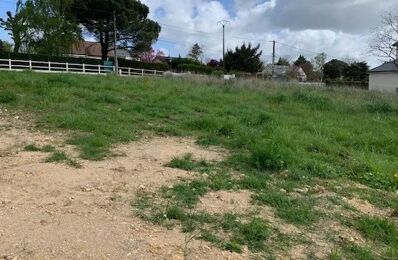 vente terrain 70 000 € à proximité de Lussault-sur-Loire (37400)