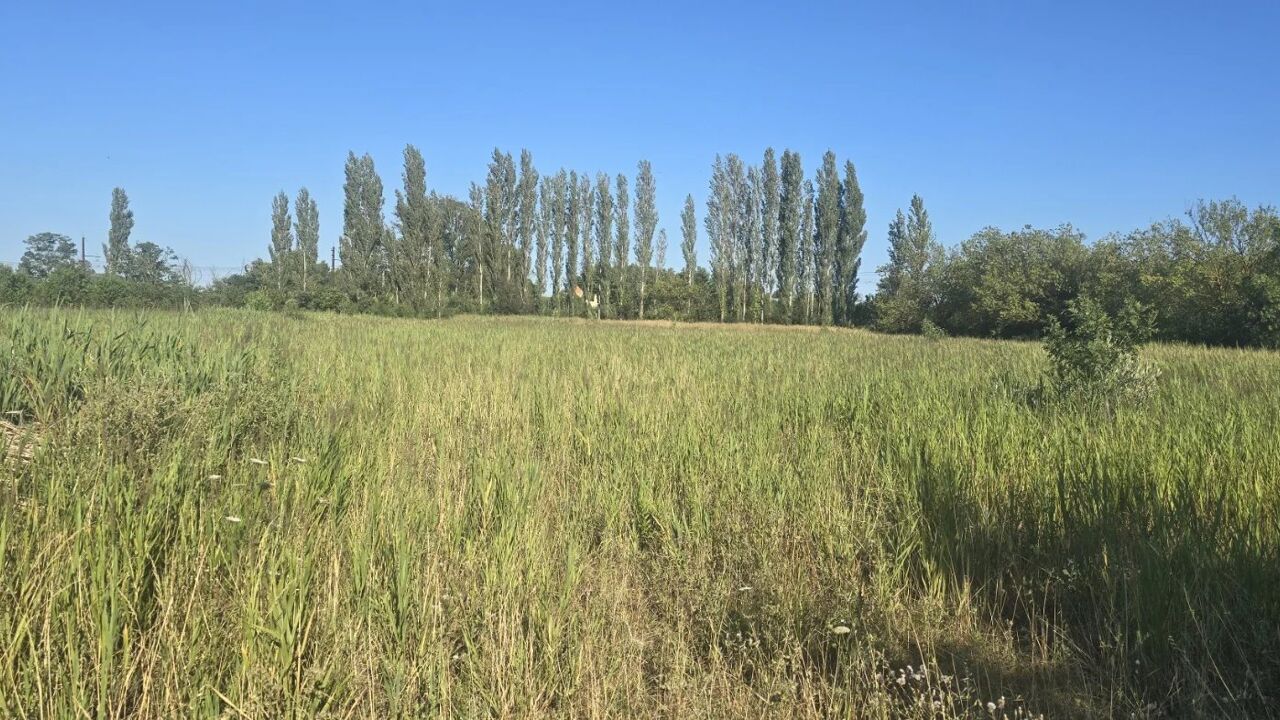 terrain  pièces 6115 m2 à vendre à Narbonne (11100)