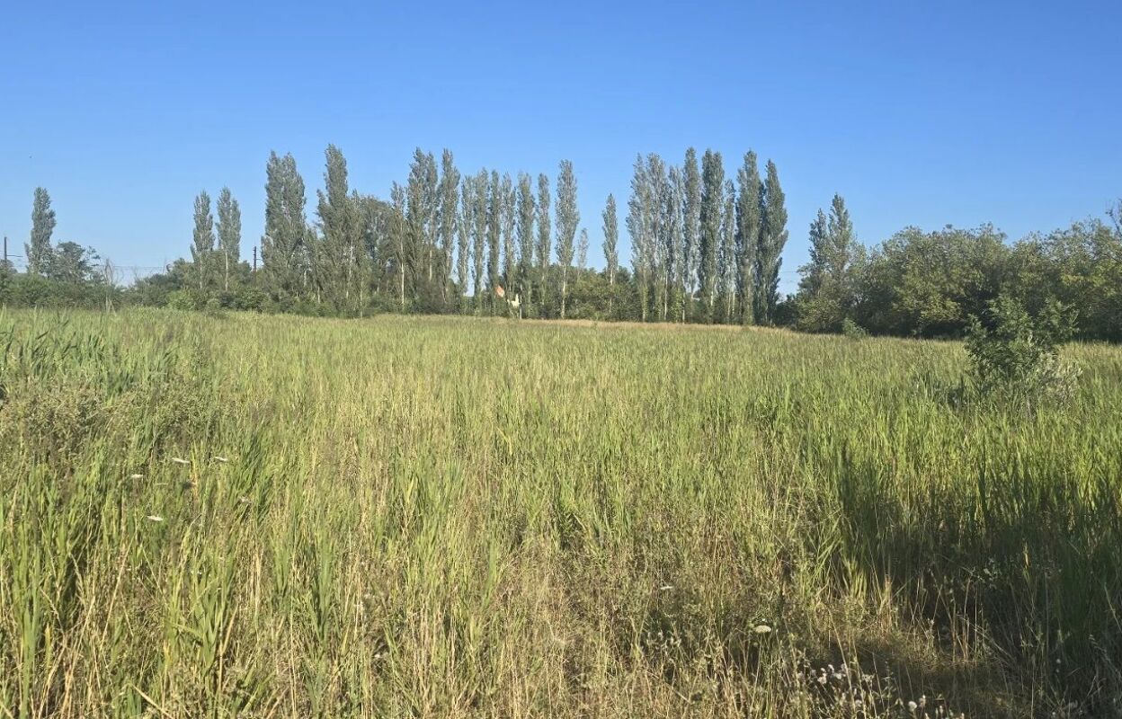 terrain  pièces 6115 m2 à vendre à Narbonne (11100)