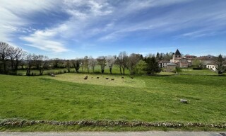 Photo N° 4