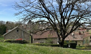 Photo N° 6