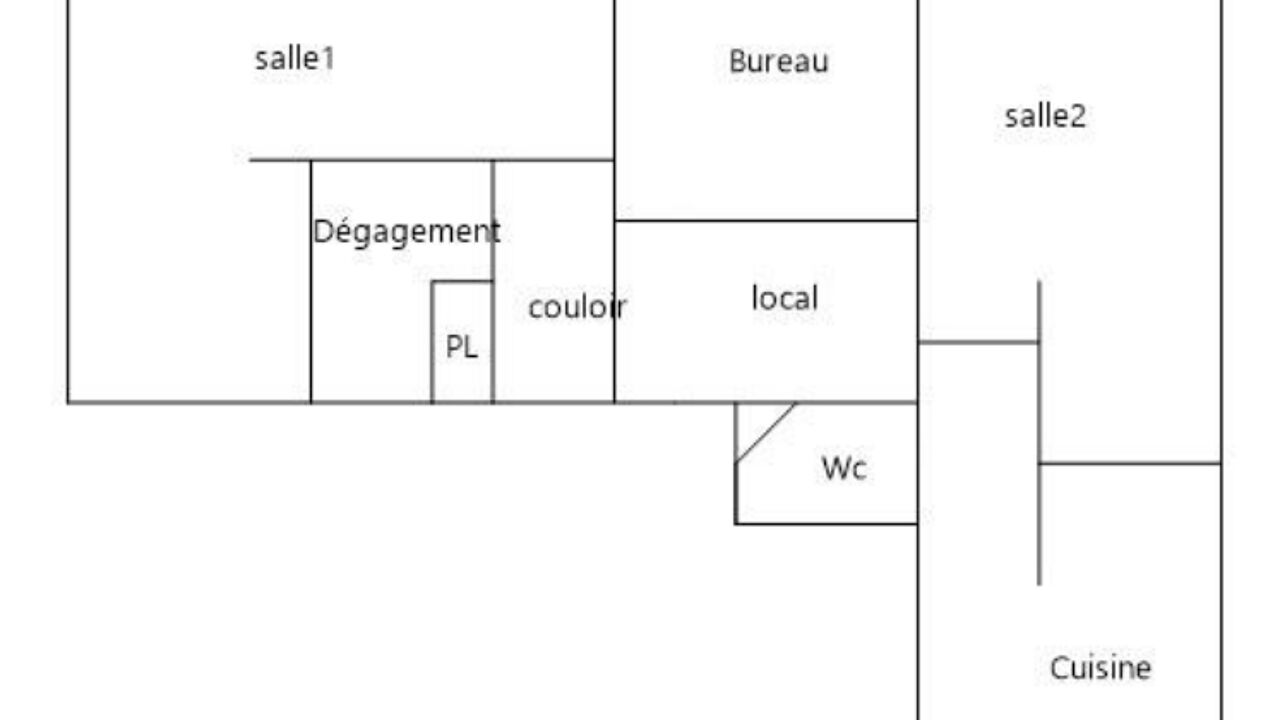 appartement 3 pièces 98 m2 à vendre à Lyon 9 (69009)