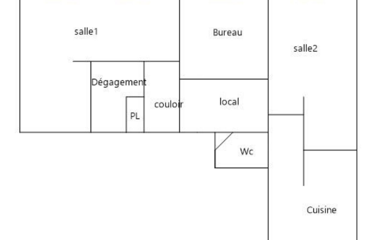 appartement 3 pièces 98 m2 à vendre à Lyon 9 (69009)