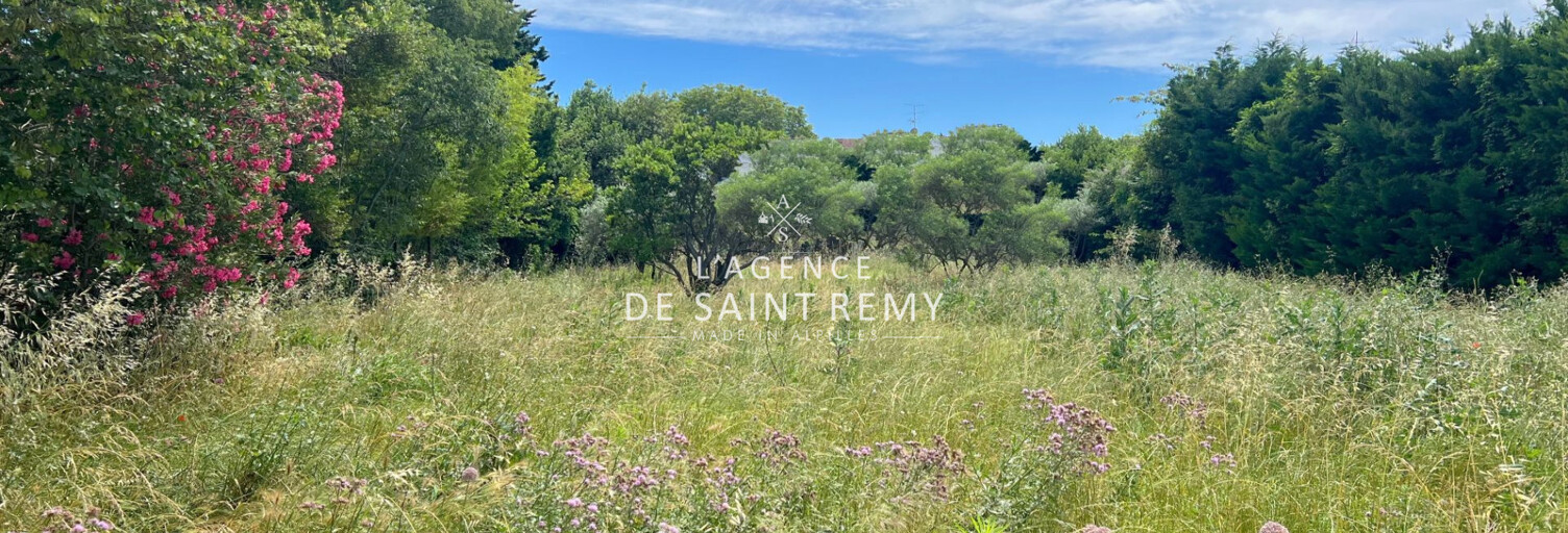 Maison 8 Pièces 225 m² à vendre à Saint-Rémy-de-Provence (13210)