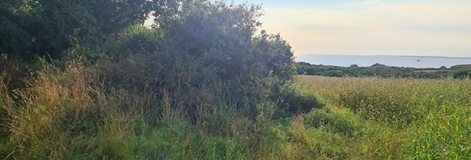 Terrain  2140 m² à vendre à Crozon (29160)