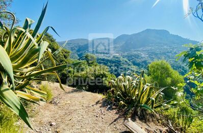 vente terrain 210 000 € à proximité de Le Broc (06510)