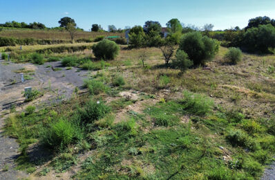 vente terrain 169 000 € à proximité de Saturargues (34400)