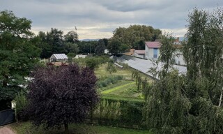 Photo N° 7