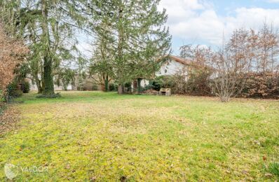 vente terrain 185 000 € à proximité de Lachassagne (69480)