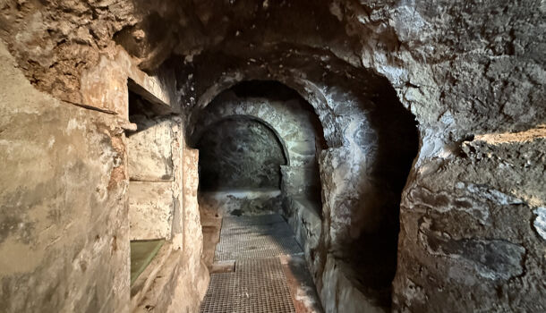 Villa / Maison 8 pièces  à vendre Corsavy 66150