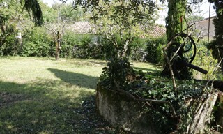Photo N° 5