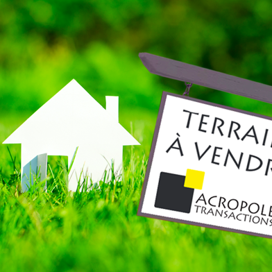 Terrain  250000 €