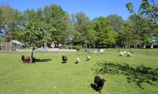 Photo N° 3