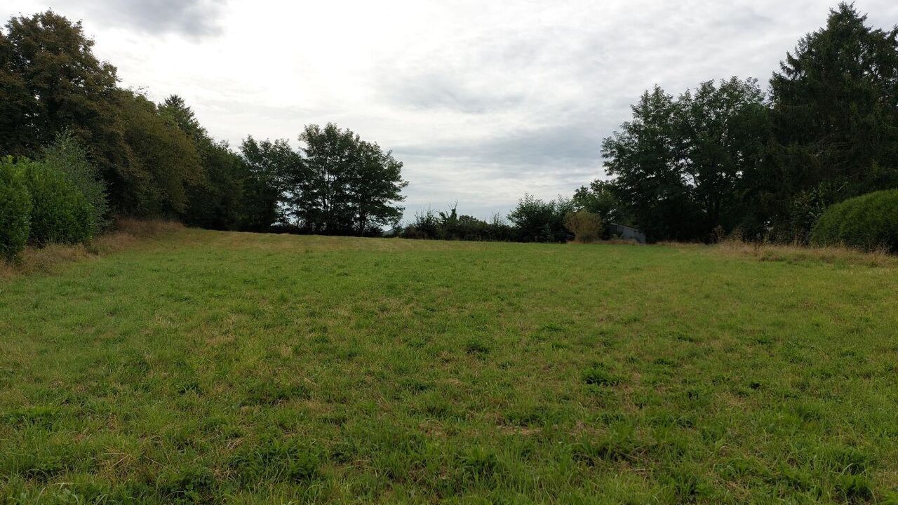 terrain  pièces 3560 m2 à vendre à Boussac (23600)