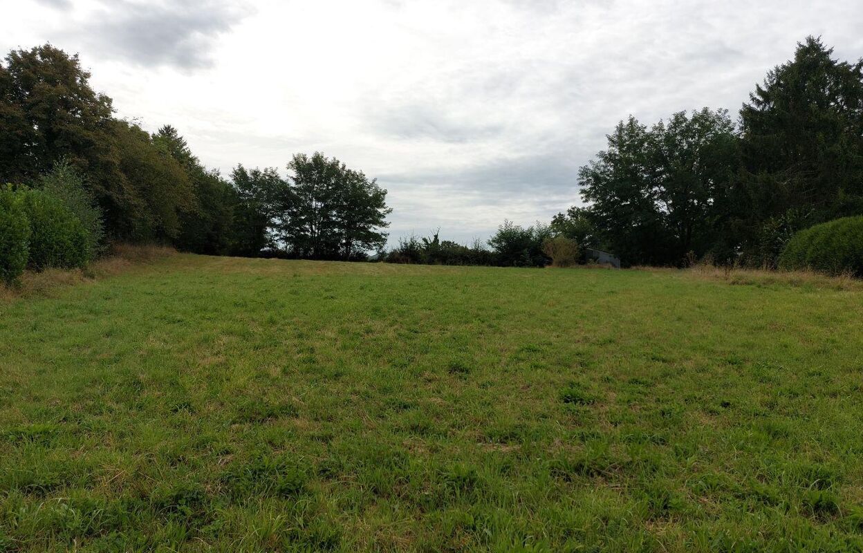 terrain  pièces 3560 m2 à vendre à Boussac (23600)