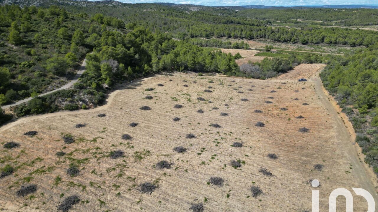 terrain  pièces 20400 m2 à vendre à Roquefort-des-Corbières (11540)