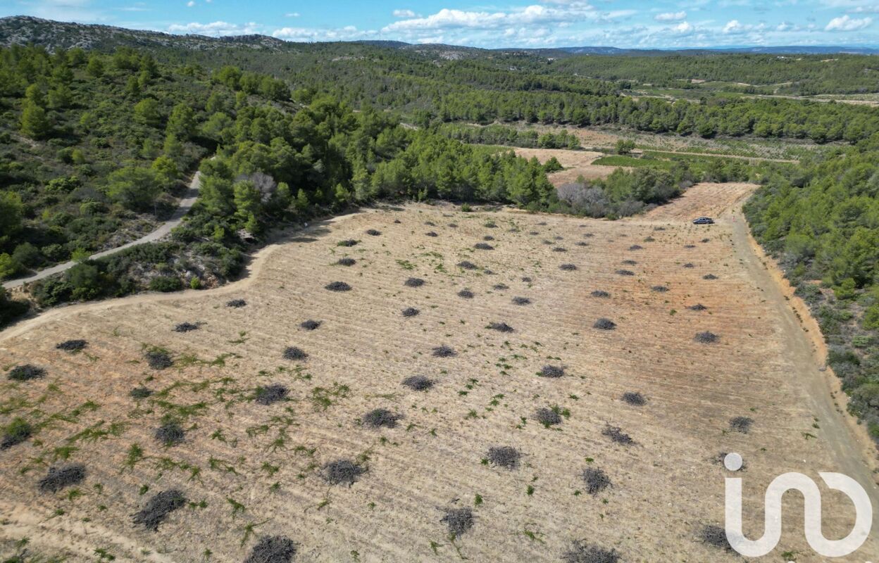 terrain  pièces 20400 m2 à vendre à Roquefort-des-Corbières (11540)