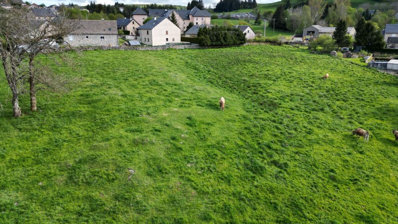 terrain  pièces 10755 m2 à vendre à Nasbinals (48260)