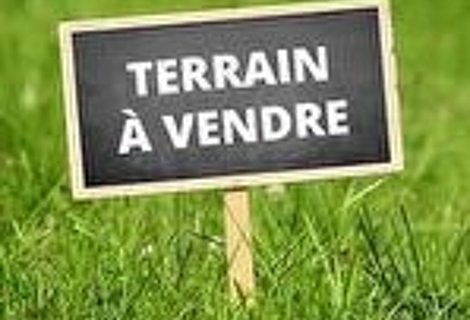 Terrain À Vendre - SAINT PIERRE D OLERON — photo 1