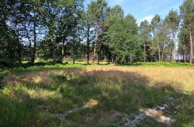 terrain  pièces 1530 m2 à vendre à Mios (33380)