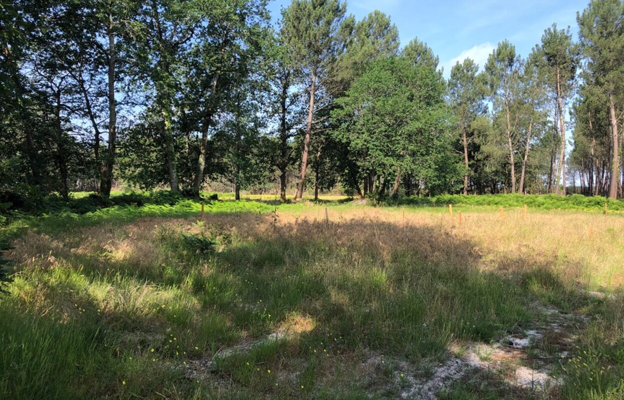 terrain  pièces 1530 m2 à vendre à Mios (33380)