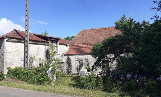 Photo N° 2